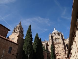 Explore the Almudena Cathedral